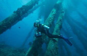 A Comprehensive Guide to Regulator Systems in Scuba Gear Regulator Systems in Scuba Gear