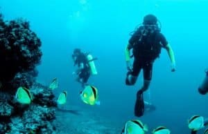 Snorkeling Tours: Captivating Adventures in Grand Cayman Snorkeling Tours