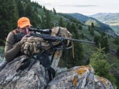How to Pick the Perfect Rifle for Your Next Adventure? How to Pick the Perfect Rifle for Your Next Adventure