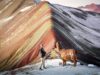 RAINBOW MOUNTAIN TOUR Rainbow Mountain Tour