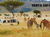 How to Enjoy a Kenya Safari as a Solo Traveler? Kenya Safari